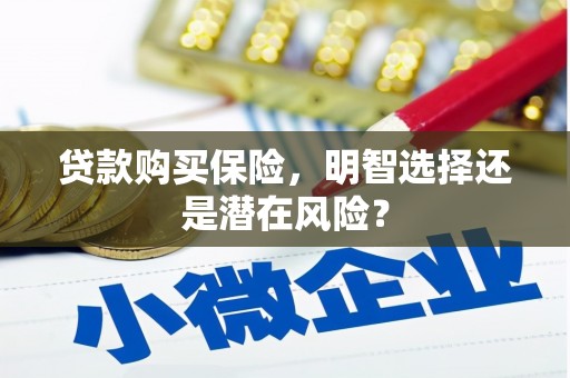 连江贷款购买保险，明智选择还是潜在风险？