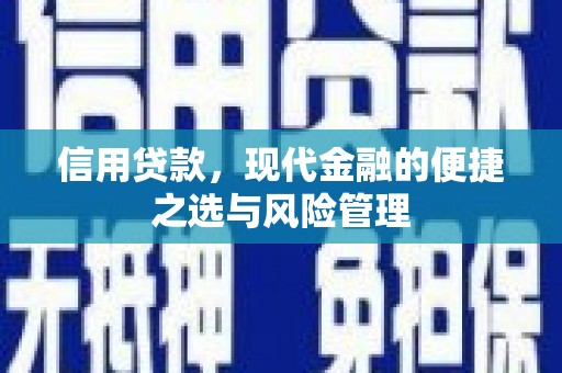 卓尼信用贷款，现代金融的便捷之选与风险管理