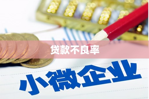 大朗贷款不良率