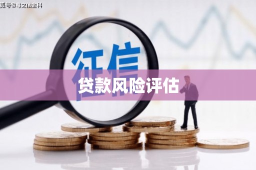 凤城贷款风险评估
