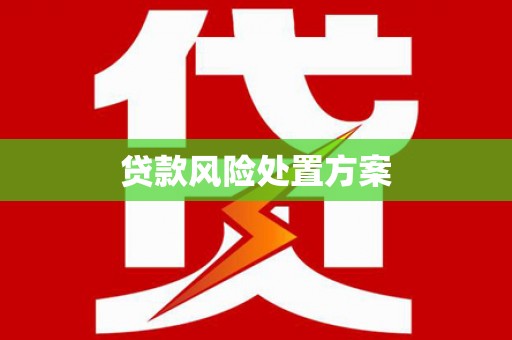 芦淞贷款风险处置方案