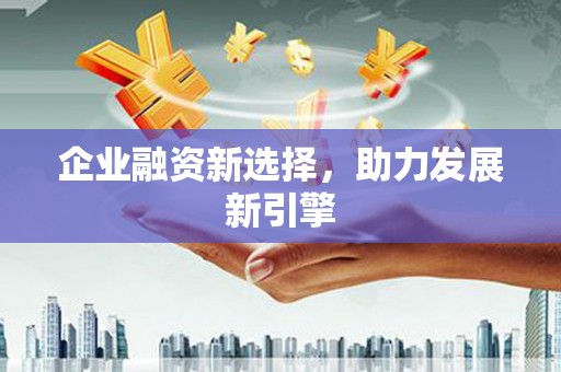 望安企业融资新选择，助力发展新引擎