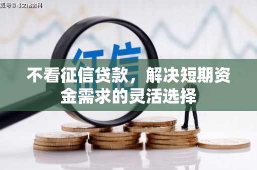 池上不看征信贷款，解决短期资金需求的灵活选择