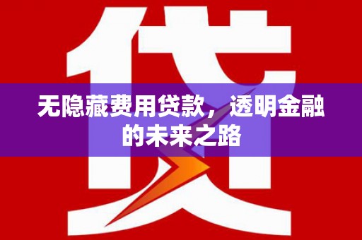 温宿无隐藏费用贷款，透明金融的未来之路