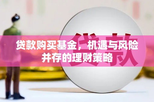 云龙贷款购买基金，机遇与风险并存的理财策略