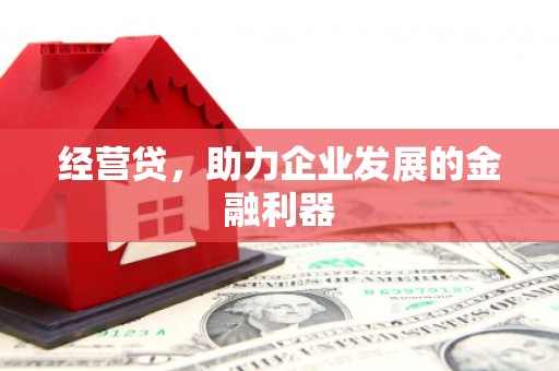 志丹经营贷，助力企业发展的金融利器