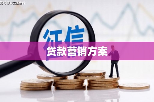 洋县贷款营销方案