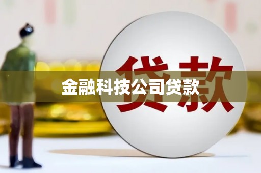 圣安多尼堂区金融科技公司贷款