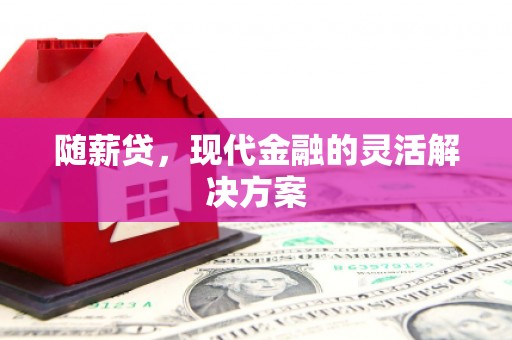 金坛随薪贷，现代金融的灵活解决方案