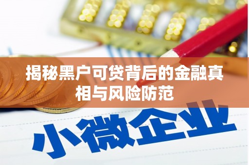 德宏揭秘黑户可贷背后的金融真相与风险防范