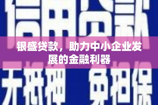 浔阳银盛贷款，助力中小企业发展的金融利器