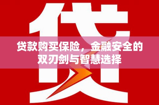 小金贷款购买保险，金融安全的双刃剑与智慧选择