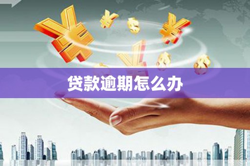 横栏贷款逾期怎么办