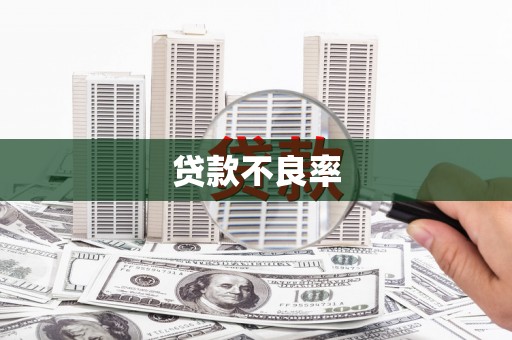 白碱滩贷款不良率