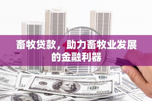 新埔畜牧贷款，助力畜牧业发展的金融利器