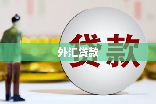 桐城外汇贷款