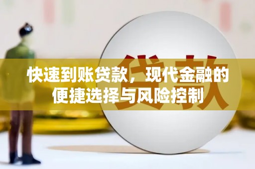 普湾新区快速到账贷款，现代金融的便捷选择与风险控制