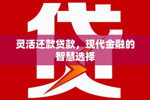 山东灵活还款贷款，现代金融的智慧选择