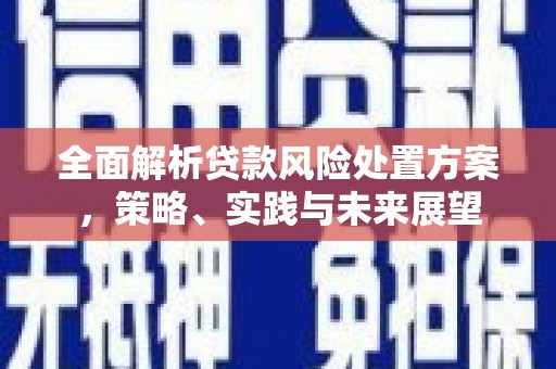 乐都全面解析贷款风险处置方案，策略、实践与未来展望