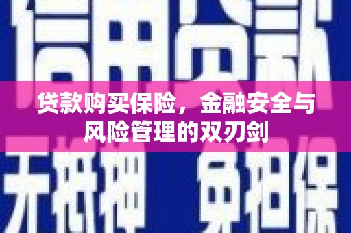 越西贷款购买保险，金融安全与风险管理的双刃剑