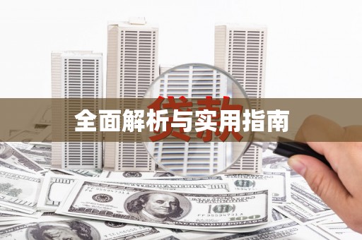 华龙全面解析与实用指南
