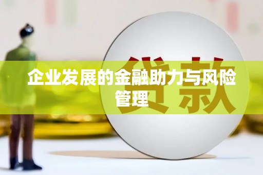 白沙企业发展的金融助力与风险管理