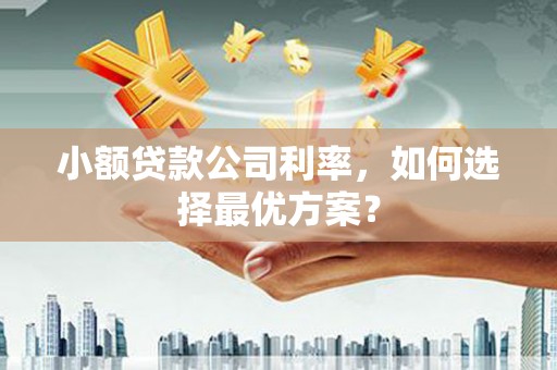 宁夏小额贷款公司利率，如何选择最优方案？