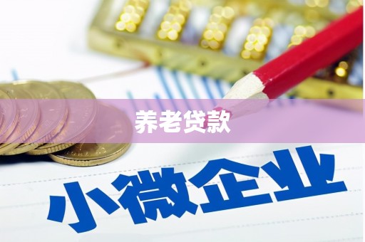 墨江养老贷款