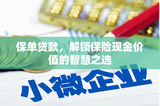 勐腊保单贷款，解锁保险现金价值的智慧之选