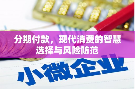 东台分期付款，现代消费的智慧选择与风险防范