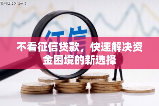 雾峰不看征信贷款，快速解决资金困境的新选择