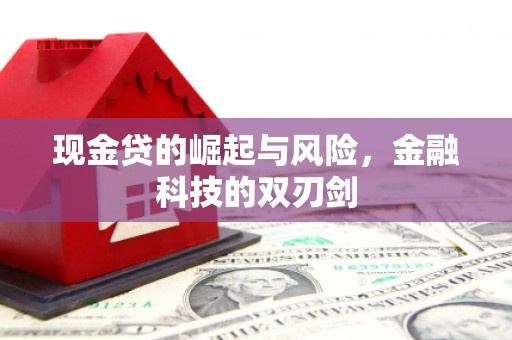 汤原现金贷的崛起与风险，金融科技的双刃剑