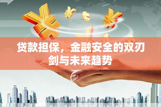 余庆贷款担保，金融安全的双刃剑与未来趋势