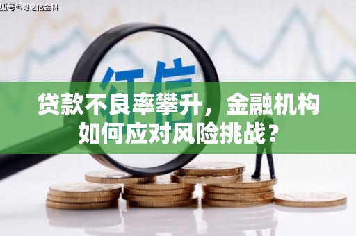 邓州贷款不良率攀升，金融机构如何应对风险挑战？