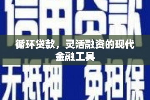 丹徒循环贷款，灵活融资的现代金融工具