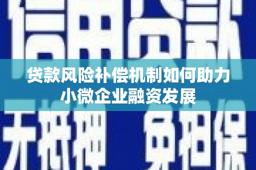 陇南贷款风险补偿机制如何助力小微企业融资发展