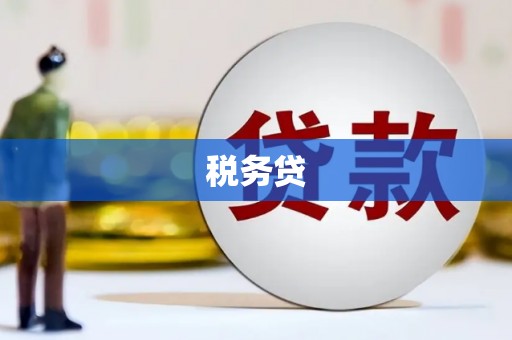 溆浦税务贷