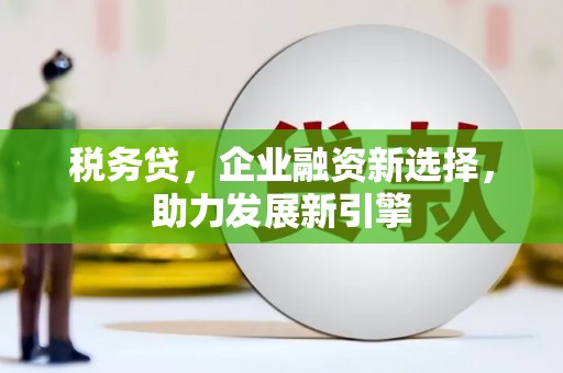 宝应税务贷，企业融资新选择，助力发展新引擎