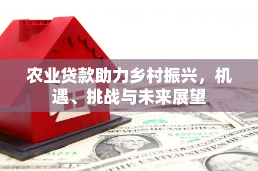 崁顶农业贷款助力乡村振兴，机遇、挑战与未来展望