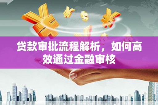 陆丰贷款审批流程解析，如何高效通过金融审核