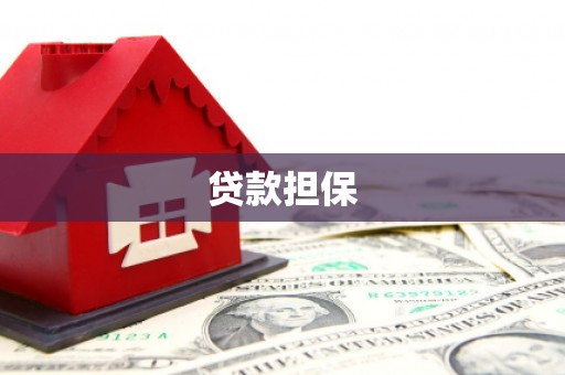 桃山贷款担保