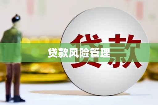 新林贷款风险管理