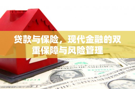 玉树贷款与保险，现代金融的双重保障与风险管理