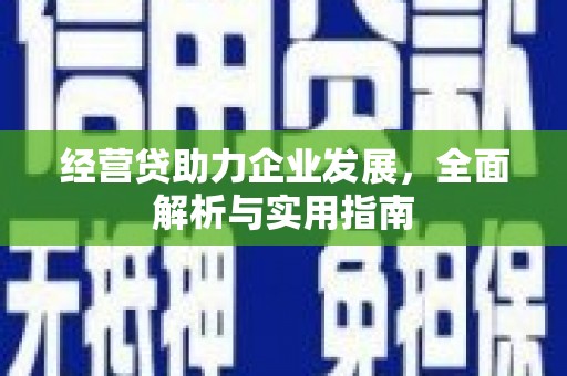 镇巴经营贷助力企业发展，全面解析与实用指南