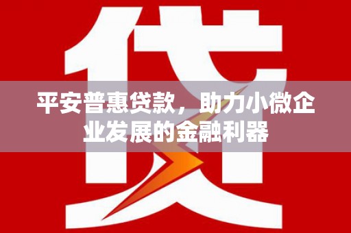 莱城平安普惠贷款，助力小微企业发展的金融利器