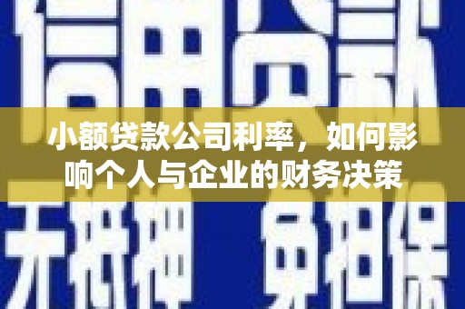 南乐小额贷款公司利率，如何影响个人与企业的财务决策