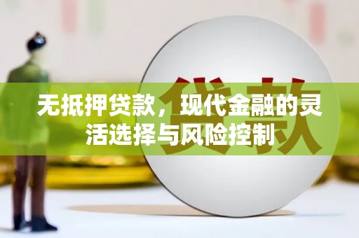 崇左无抵押贷款，现代金融的灵活选择与风险控制