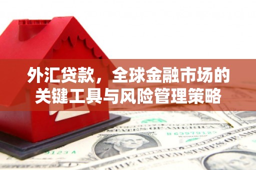 余杭外汇贷款，全球金融市场的关键工具与风险管理策略