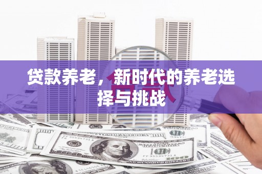 河南贷款养老，新时代的养老选择与挑战