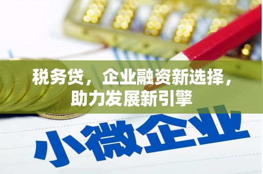 福建税务贷，企业融资新选择，助力发展新引擎